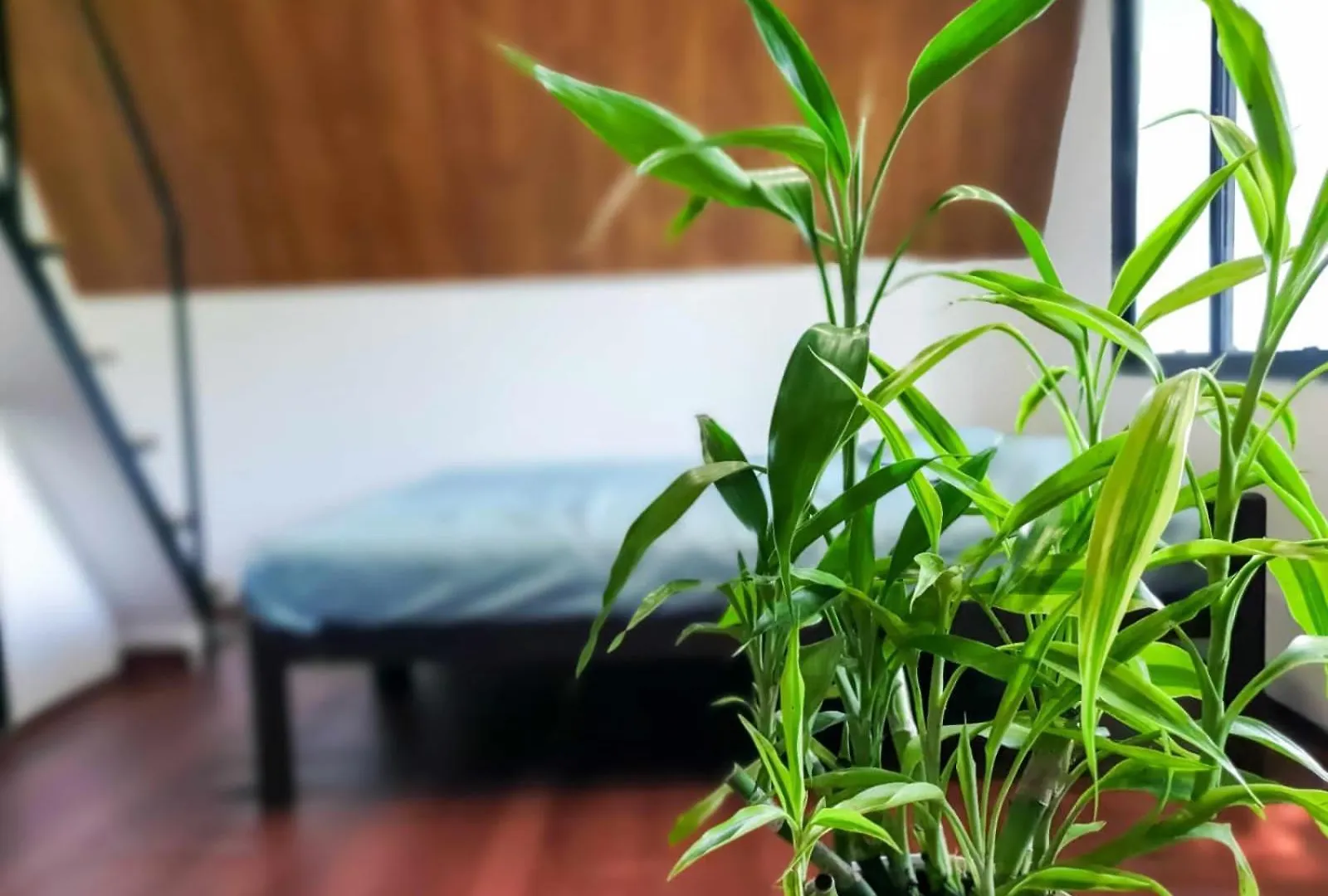Peak Valley Cottage Munnar Homestay